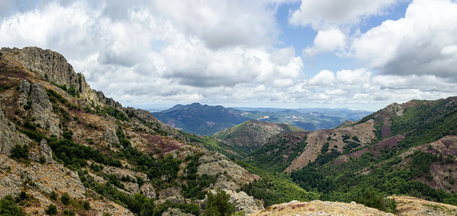 Paysage du Languedoc-Roussillon